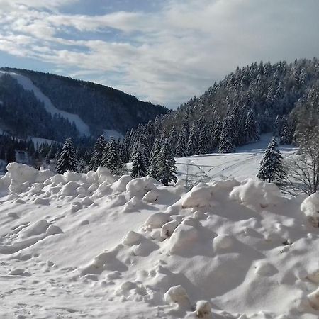 Les Feignes Cerfdore La Bresse Zewnętrze zdjęcie