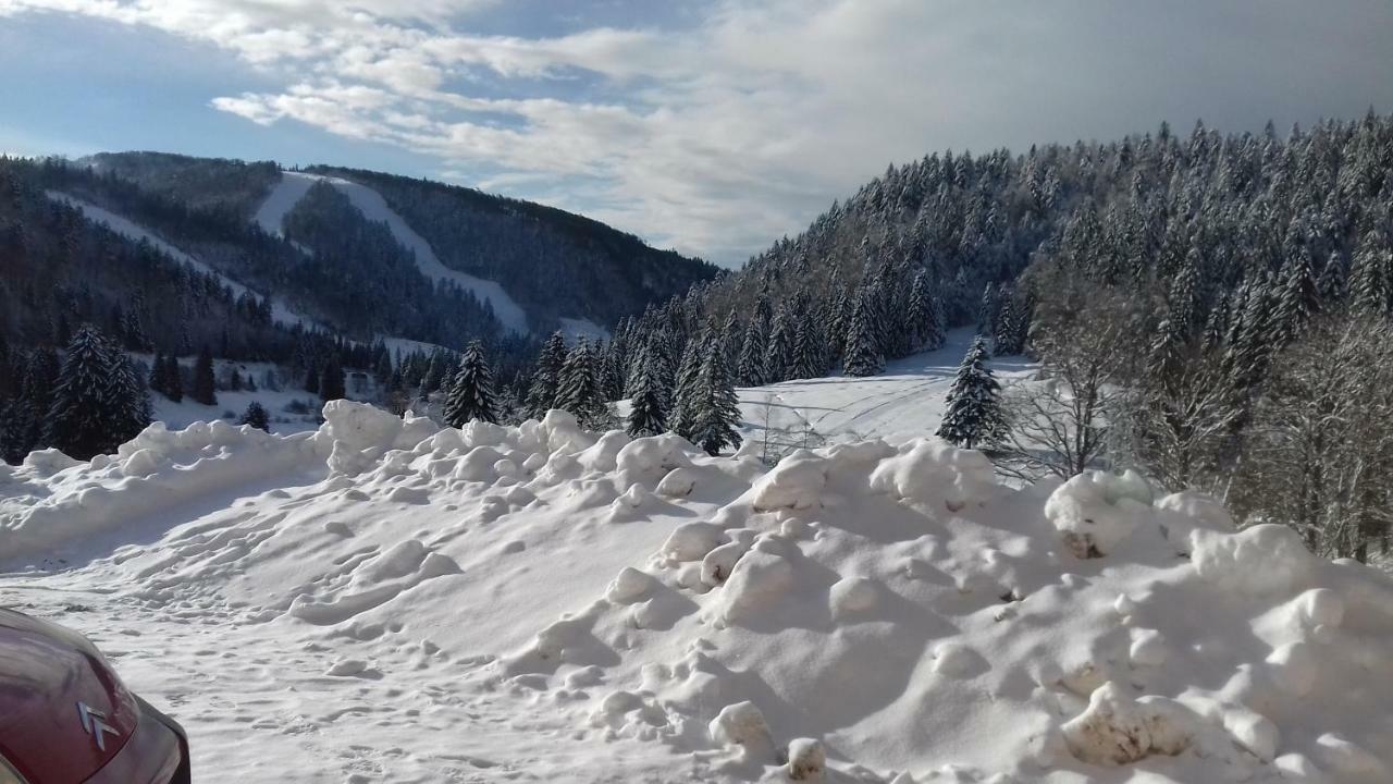Les Feignes Cerfdore La Bresse Zewnętrze zdjęcie